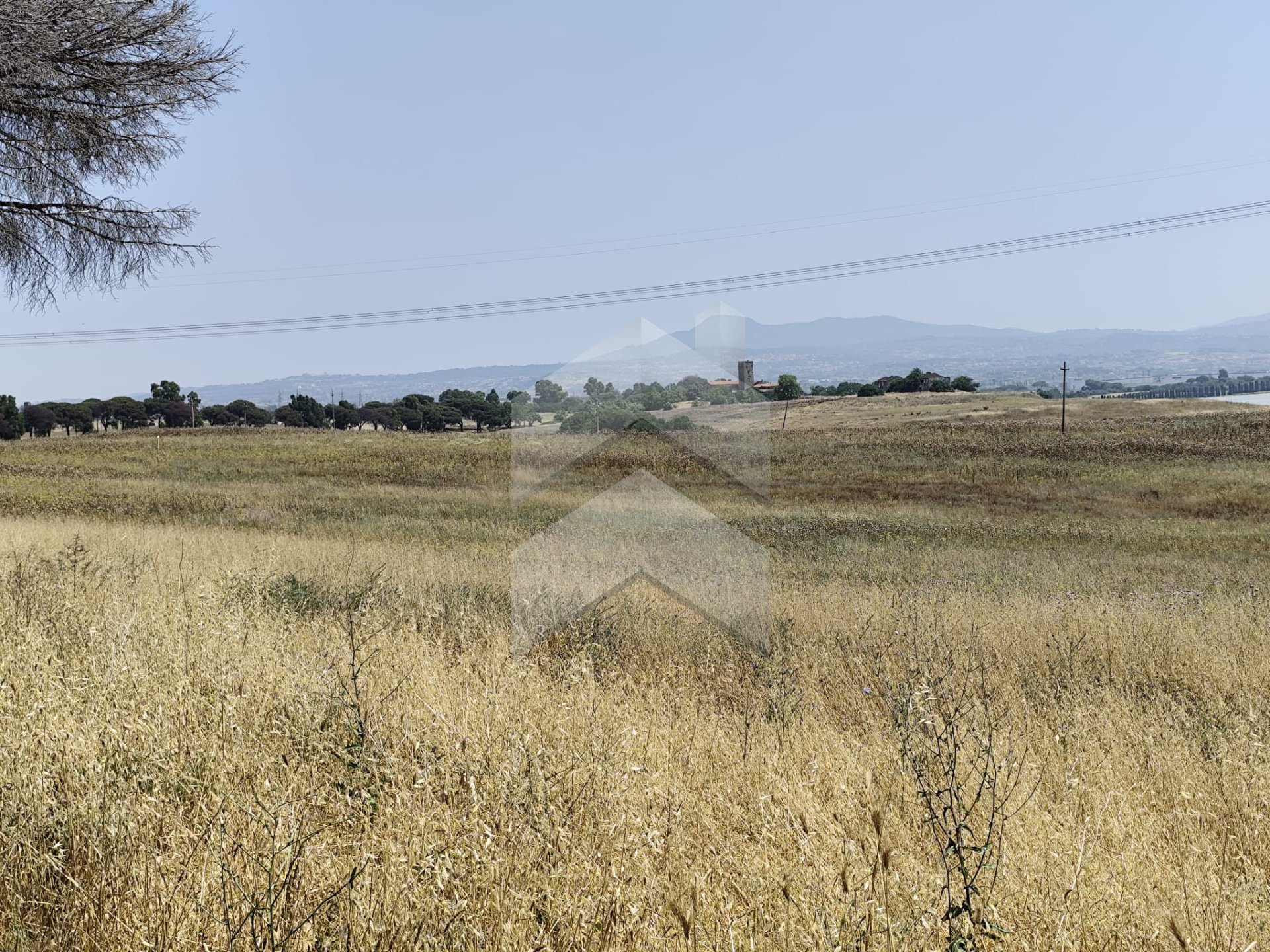 TERRENO IN VENDITA – SANTA PALOMBA