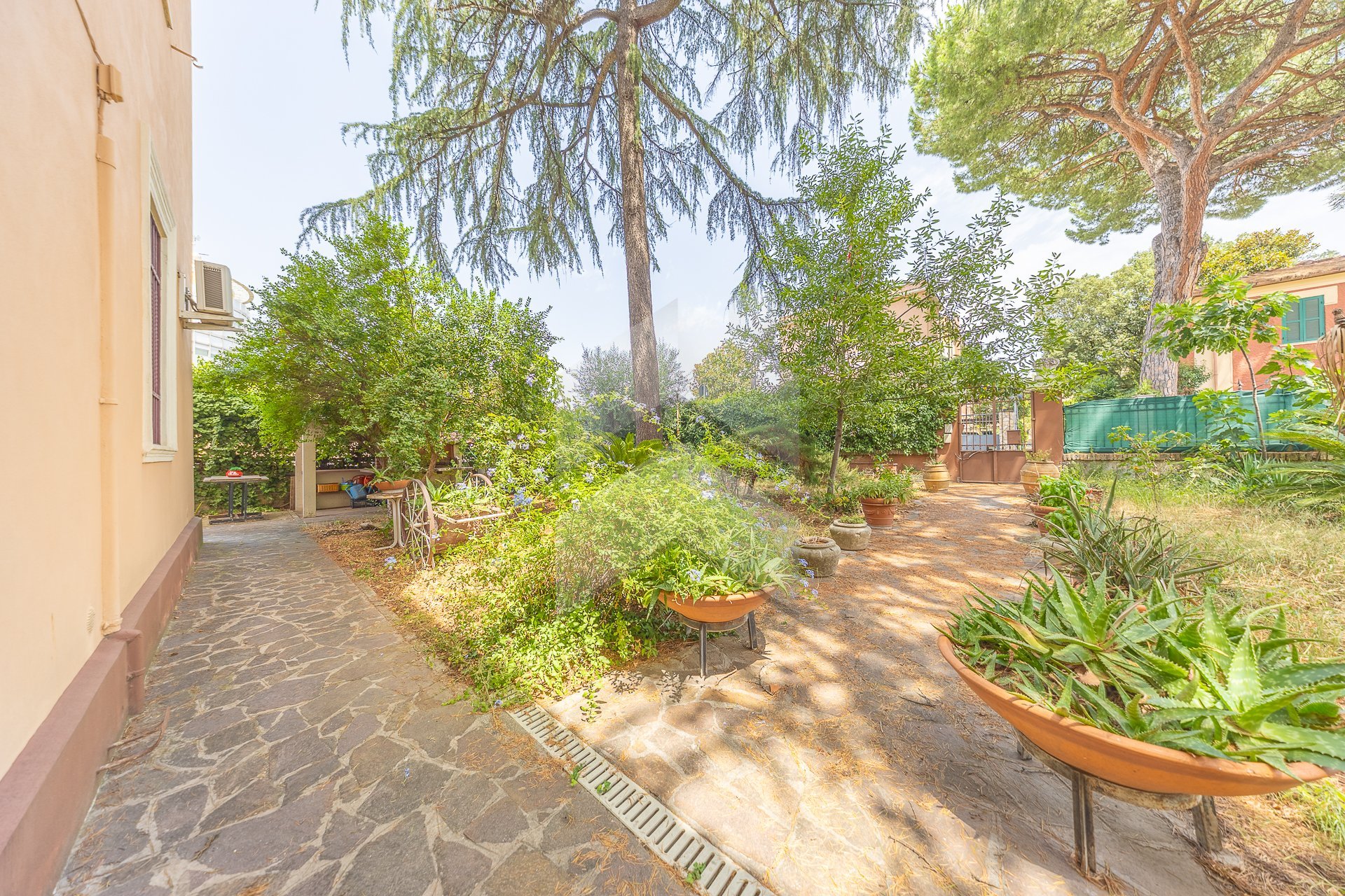 Foto 29